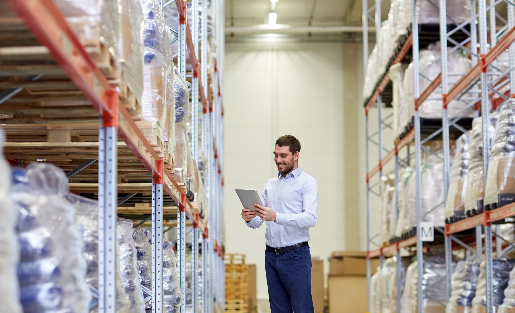Inspector assessing warehouse storage rack structural integrity bay by bay